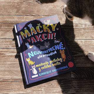 Kimberlie Hamiltonová: Mačky v akcii! 