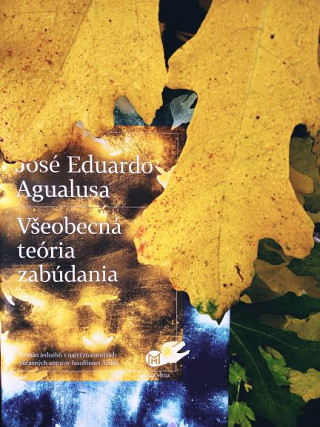 José Eduardo Agualusa: Všeobecná teória zabúdania
