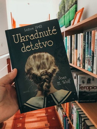 Joan M. Wolf: Ukradnuté detstvo 