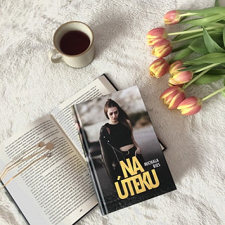 Michala Ries: Na úteku
