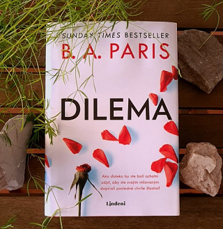 B. A. Paris: Dilema