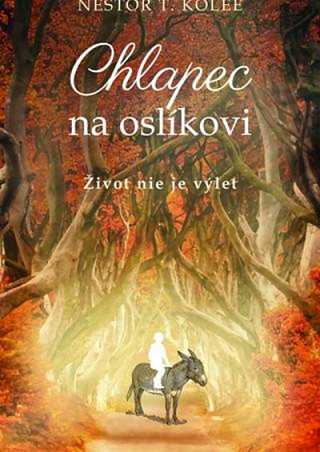 Obálka knihy Chlapec na oslíkovi - Nestor T. Kolee