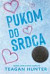 Carolina Comets 1: Pukom do srdca