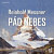 Pád nebes