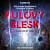 Kulový blesk