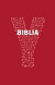 Y-Biblia - Biblia Katolíckej cirkvi pre mladých