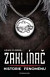 Zaklínač – historie fenoménu