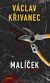 Malíček