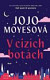 V cizích botách