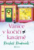 Vánice v kočičí kavárně