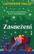 Zasnežení