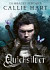 Quicksilver (slovenský jazyk)