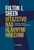 Víťazstvo nad hlavnými hriechmi