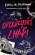 Okouzlující lháři