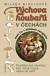 Výchova houbařů v Čechách