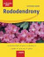 Rododendrony