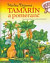 Tamarín a pomeranč
