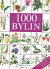1000 bylin