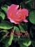 Láska citáty