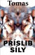 Příslib síly