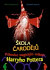 Škola čarodějů