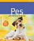 Pes pěstěný a krásný