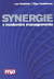 Synergie v moderním managementu