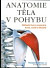 Anatomie těla v pohybu
