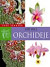 Orchideje