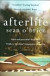Afterlife