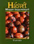 Húsvét