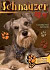 Schnauzer