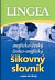 Anglicko-český česko-anglický šikovný slovník