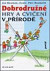 Dobrodružné hry a cvičení v přírodě