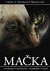 Mačka
