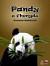 Pandy z Chengdu