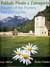 Poklady Pienin a Zamaguria / Wealth of the Pieniny and Zamagurie