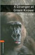 Stranger at Green Knowe
