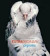 Extraordinary Pigeons