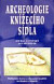 Archeologie knizaciho sidla