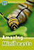 Amazing Minibeasts