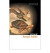 Aesop´s Fables