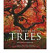 Beauty of Trees