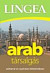 Arab társalgás