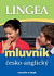 Česko-anglický mluvník ... rozvažte si jazyk - 3. vydání