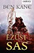 Ezüst sas