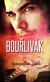 Bouřlivák