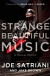 Strange Beautiful Music - A Musical Memoir