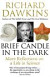 Brief Candle in the Dark