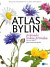 Atlas bylin